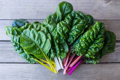 silverbeet Definitions of Swiss chard beet lacking swollen root; grown as a vegetable for its edible leaves and stalks long succulent whitish stalks with large green leaves Thanks for visiting The Crossword Solver "Swiss chard". . Swiss chard and others crossword
